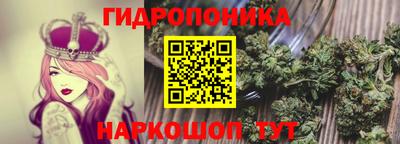 гашик Можайск